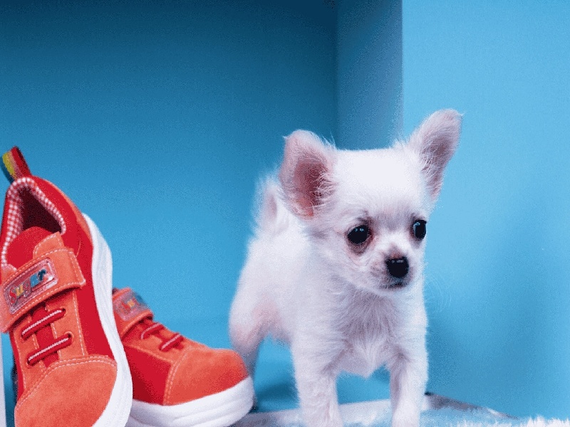 宫腔镜后 当月 试管（济南试管进医保了吗）